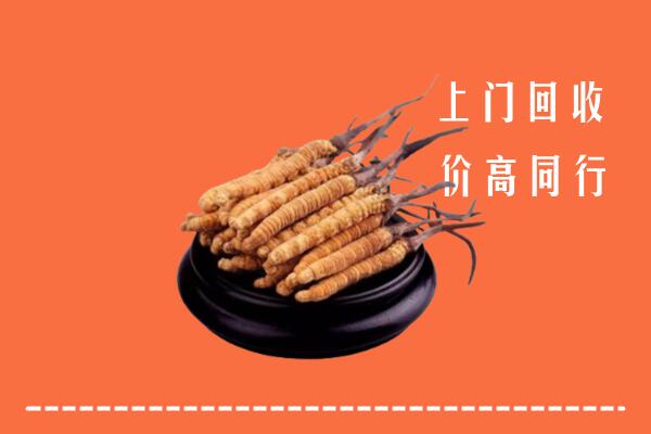 盘州回收冬虫夏草