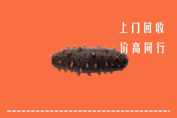 盘州回收海参