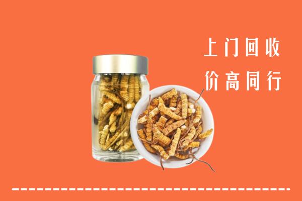 盘州回收冬虫夏草