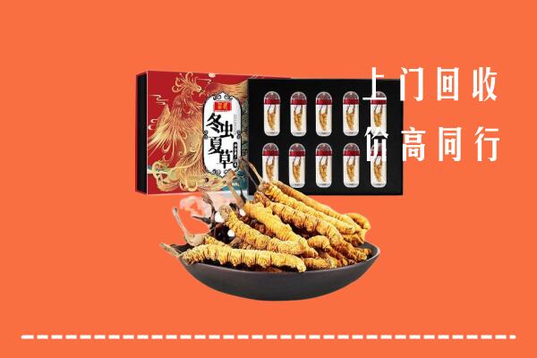 盘州回收虫草